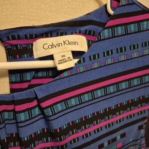 Calvin Klein Blue and Pink Striped D